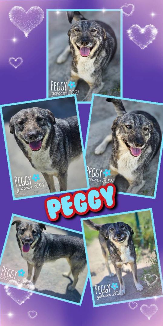 Peggy, Mischling, Aufenthalt in Rumänien, Botoșani