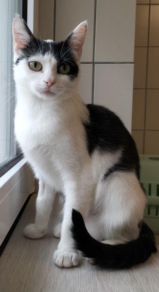 Lilly, EKH, Stuttgart
